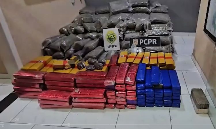 AÇÃO INTEGRADA APREENDE QUASE 300 QUILOS DE DROGAS NA REGIÃO DE CÉU AZUL