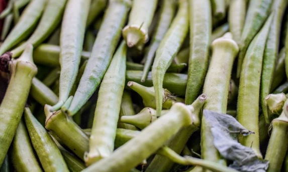 Agricultura: Governo divulga lista de municípios beneficiados pelo Garantia-Safra; Pagamento ocorre este mês