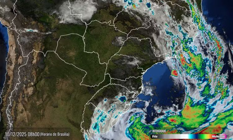 Alerta no Paraná: Ciclone Causa Chuva Intensa e Ventos que Podem Chegar a 80 km/h