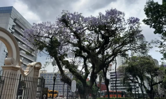 Alerta: Semana no Paraná terá calor de 35°C, temporais e risco de granizo