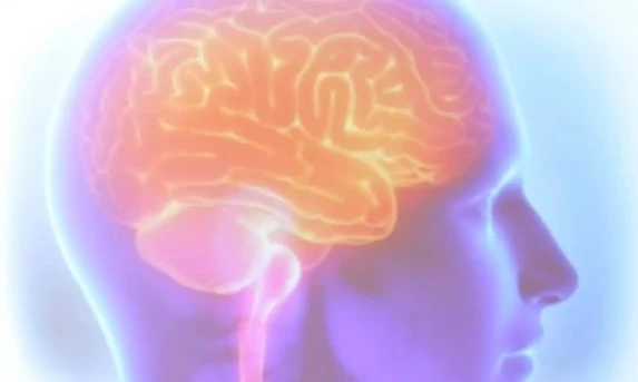 Alerta Vermelho na Saúde: O AVC Mata Um Brasileiro a Cada Seis Minutos e Gera Custo Bilionário ao País