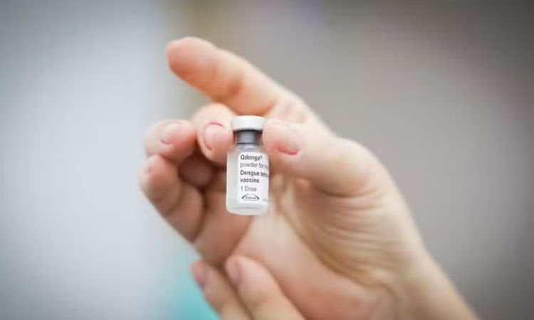 Brasil Ganha 1ª Vacina de Dose Única Contra a Dengue: Anvisa Aprova Imunizante do Butantan