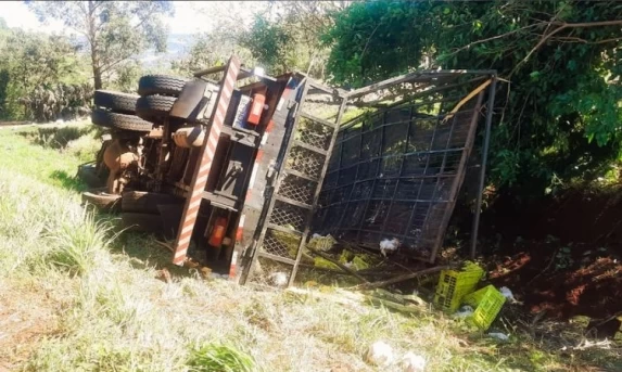Carreta carregada com frangos tomba na PR-180, em Cascavel