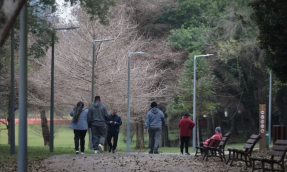 Clima: Massa de ar frio traz temperaturas próximas de 0°C e risco de geada para o Paraná