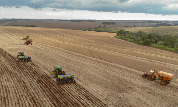 Com fim do vazio sanitário, plantio de soja começa em 5,8 milhões de hectares no Paraná