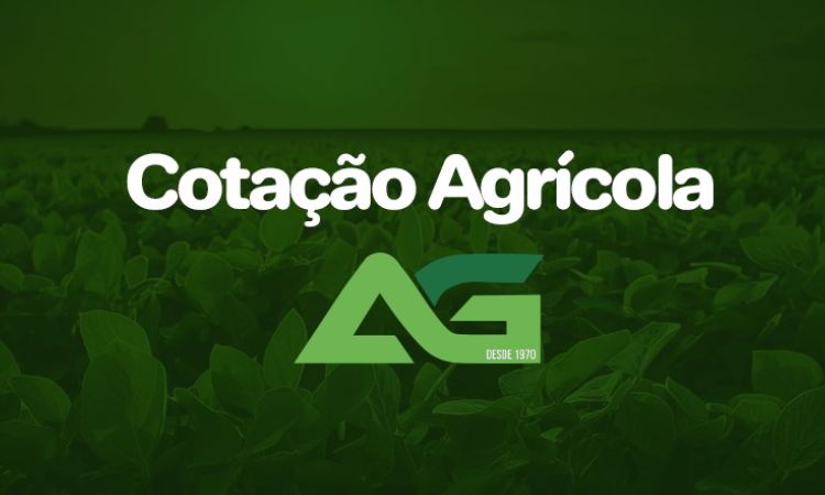 Cotações Agrícolas para esta Quarta-feira 03 de Dezembro de 2025