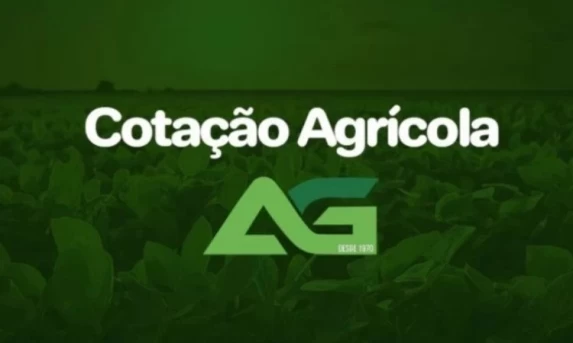 Cotações Agrícolas para esta Quarta-feira 10 de Dezembro de 2025
