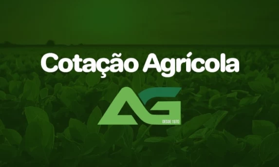 Cotações Agrícolas para esta Quinta-feira 27 de Junho 2024.