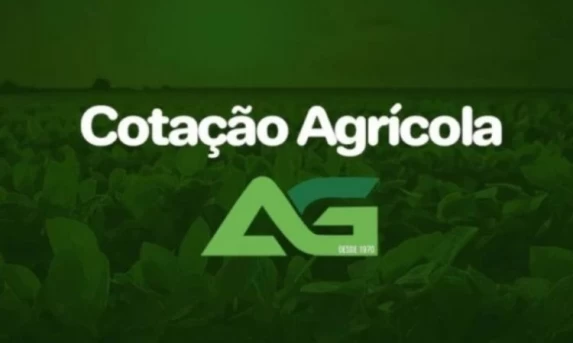 Cotações Agrícolas para esta Segunda-feira 04 de Maio de 2026