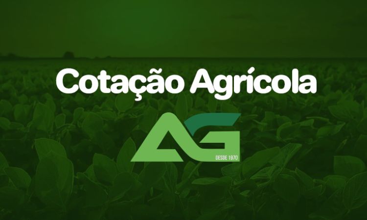 Cotações Agrícolas para esta Segunda-feira 17 de Agosto de 2026