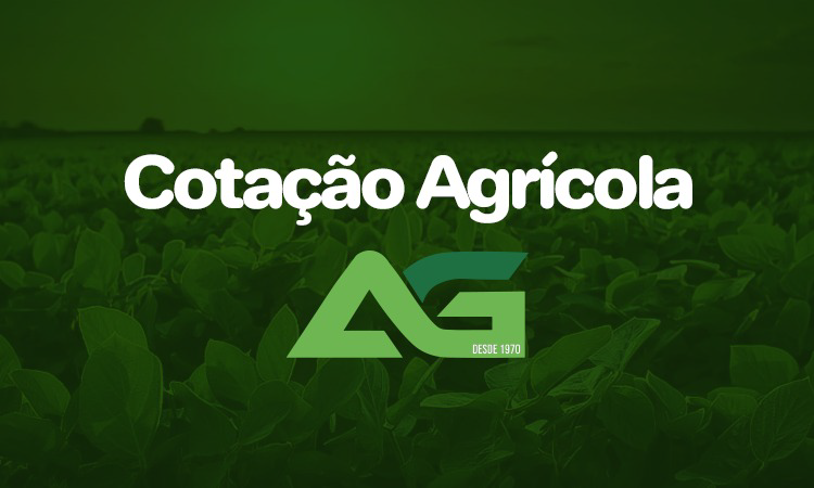 Cotações Agrícolas para esta Sexta-feira 31 de Outubro de 2025