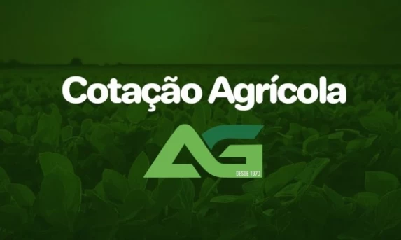 BC informa que teto para rotativo vale a partir desta quarta-feira
