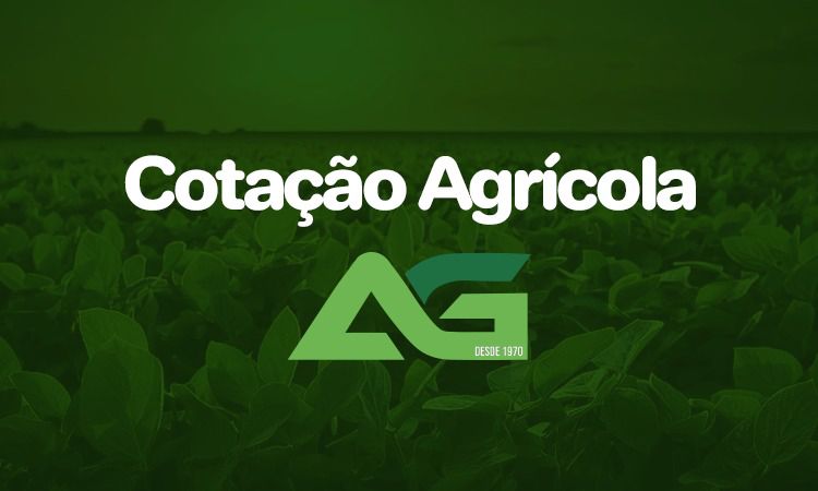 Cotações Agrícolas para esta Terça-feira 09 de Setembro de 2025
