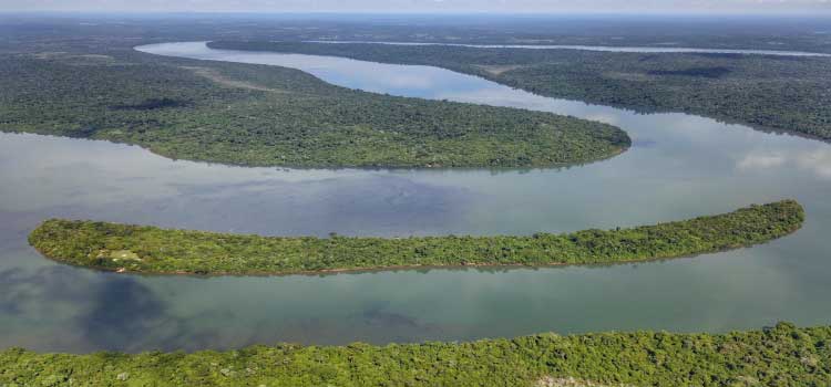 DESENVOLVIMENTO SUSTENTÁVEL: Com novas ferramentas, Paraná amplia ações para frear mudanças climáticas.