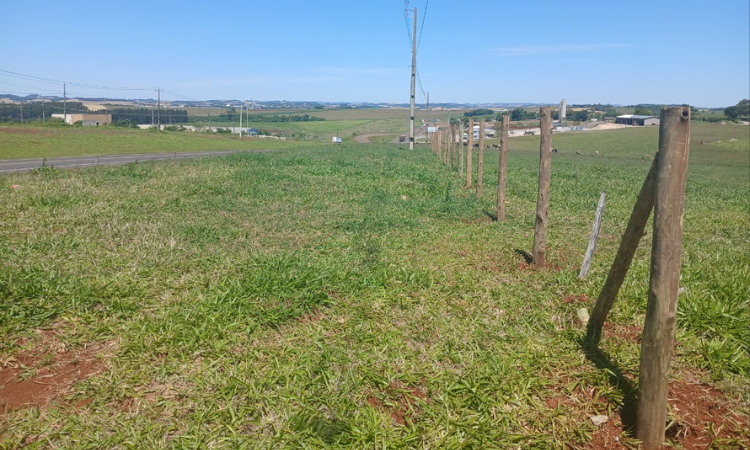 EPR Iguaçu atua na delimitação da faixa de domínio e deve concluir trabalhos até dezembro 