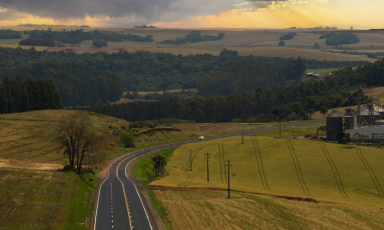 EPR Iguaçu inicia processo de regularização de áreas de plantio localizadas às margens das rodovias