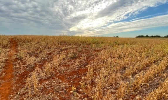 Governo e Congresso fecham acordo de R$ 100 bilhões para renegociação de dívidas de agricultores