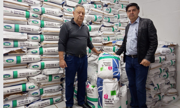 Guaraniaçu: Agricultura lança programas de Distribuição de Sementes de Milho e Aveia 2026