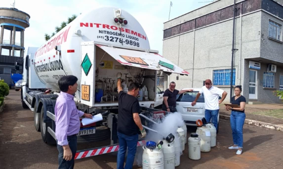 Guaraniaçu: Prefeitura distribui nitrogênio líquido para inseminação artificial