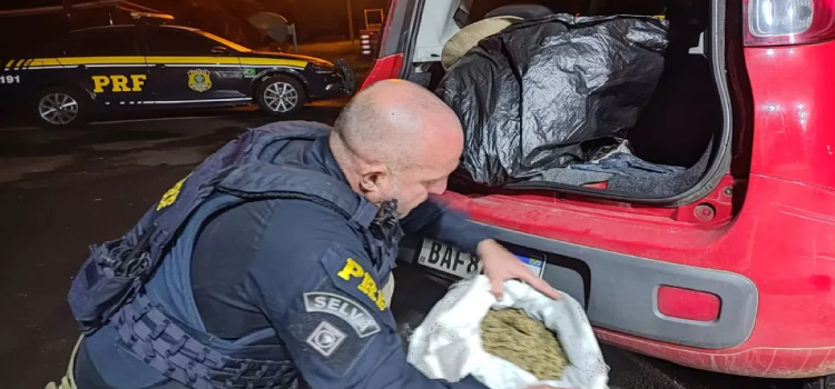 GUARAPUAVA: PRF faz apreensão de drogas na BR 277.