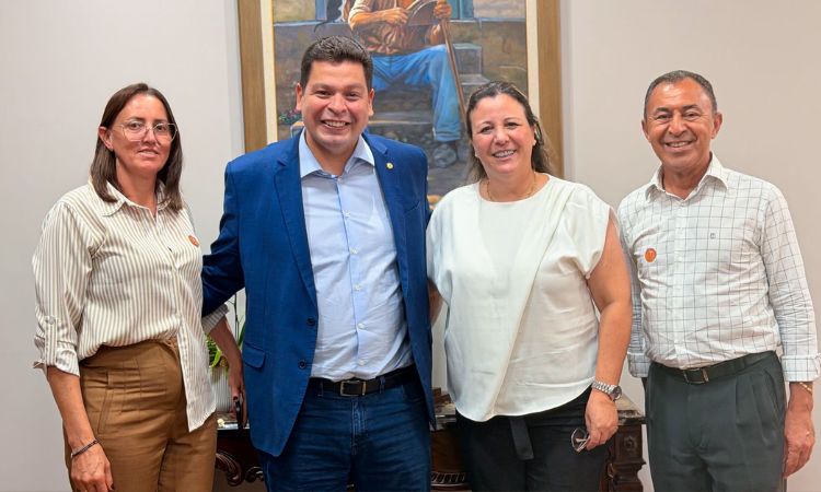 Ibema busca recursos para fortalecer projetos e garantir novos investimentos em infraestrutura