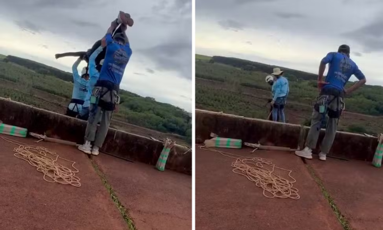 Jovem de 21 anos morre após salto de 'rope jump' sem corda de segurança na Ponte do Esqueleto