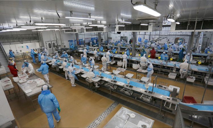 Paraná inicia semana com quase 26 mil vagas abertas nas Agências do Trabalhador