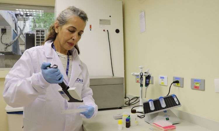 Paraná Mantém Controle Rigoroso Para Garantir Merenda Escolar Nutritiva e Segura
