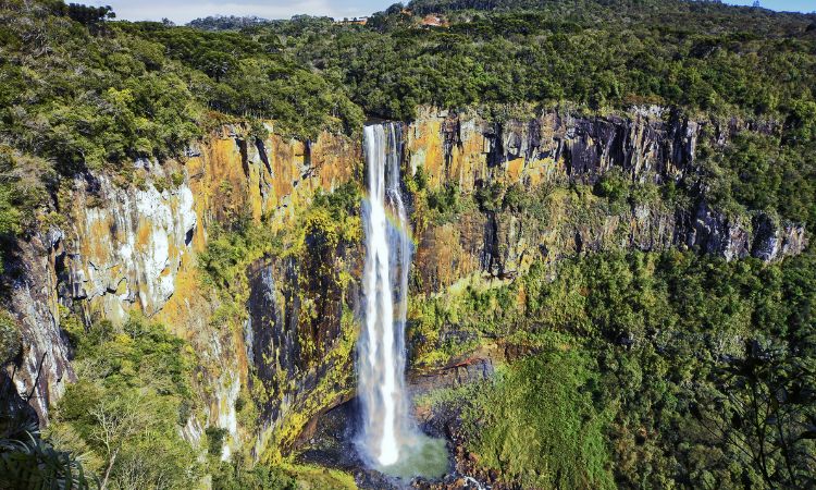 Paraná oferece roteiro de natureza com 28 Unidades de Conservação abertas no feriado de Páscoa