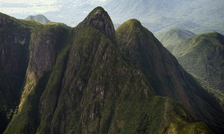 Paraná terá 