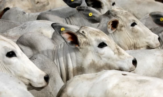 BC informa que teto para rotativo vale a partir desta quarta-feira