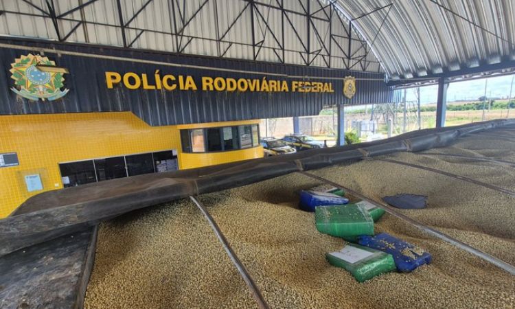 PRF apreende mais de 3 toneladas de maconha em carga de soja no oeste do Paraná