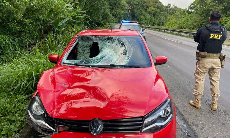 PRF prende trio que atropelou e matou pedestre na BR-277 no Paraná.