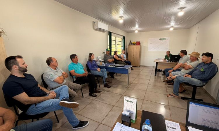 Ibema: Secretária reúne Conselho de Desenvolvimento Rural para apresentar ações de 2025 e discutir emendas para 2026