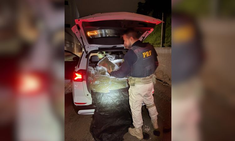 Traficante usa manequim com peruca para tentar enganar fiscalização e abandona 255 kg de droga na BR-277